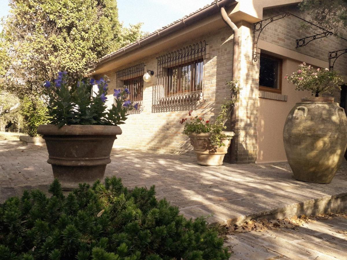 Apartment Casa Sabbatini Sant'Elpidio a Mare